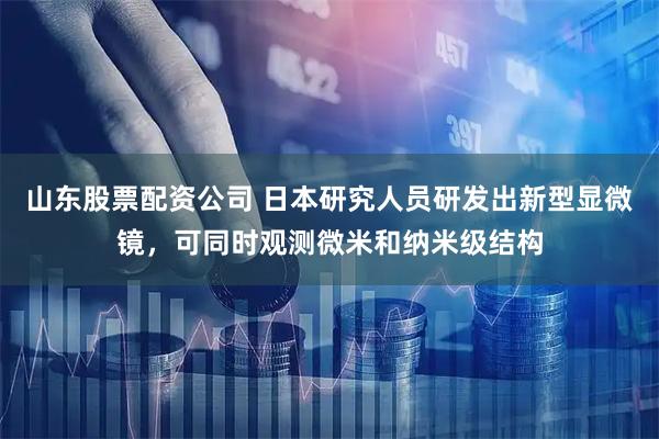 山东股票配资公司 日本研究人员研发出新型显微镜,可同时观测微米和纳米级结构