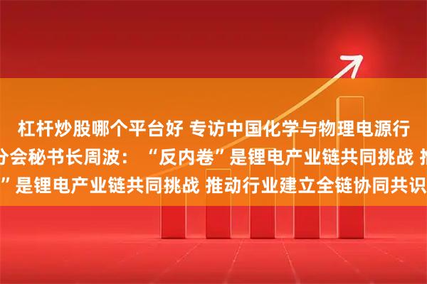 杠杆炒股哪个平台好 专访中国化学与物理电源行业协会磷酸铁锂材料分会秘书长周波： “反内卷”是锂电产业链共同挑战 推动行业建立全链协同共识