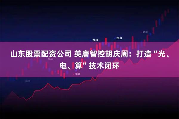 山东股票配资公司 英唐智控胡庆周:打造“光、电、算”技术闭环